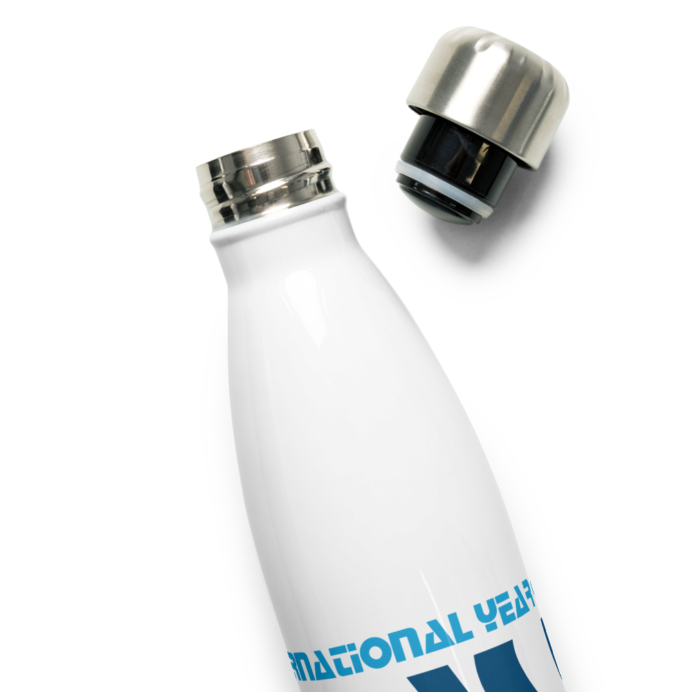 International Year of Glass - Stainless Steel Water Bottle